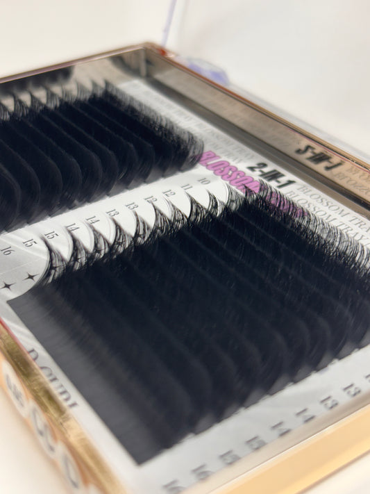 XL Volume Lashes .05 + .03